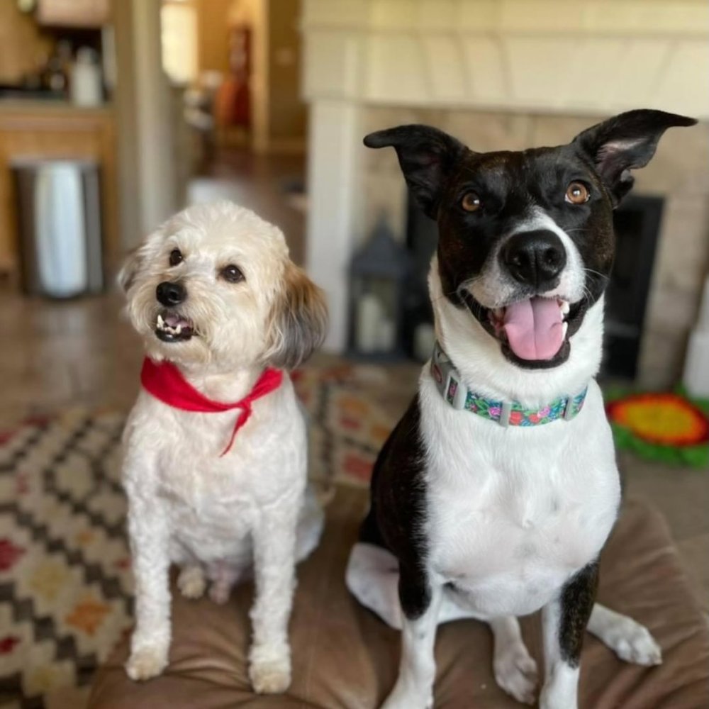 Meet your Posher, Lori